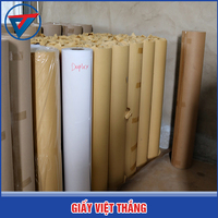 Giấy cắt rập duplex