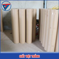 Giấy cắt rập vi tính