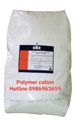Polymer Cation