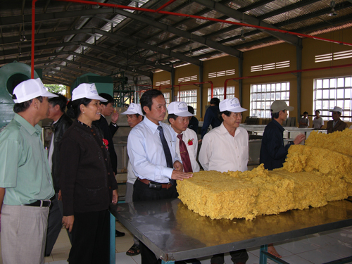 Lãnh đạo tập đoàn, tỉnh thăm quan nhà máy chế biến mủ - Cao Su Chư Păh - Công Ty TNHH MTV Cao Su Chư Păh