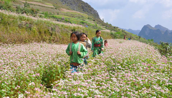 Công Ty TNHH Du Lịch Cánh Chim Việt