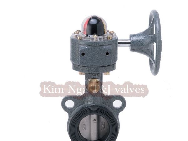 Van bướm gang cao su tay quay 20k