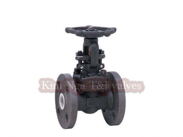 Van cửa thép mặt bích áp lực A105
