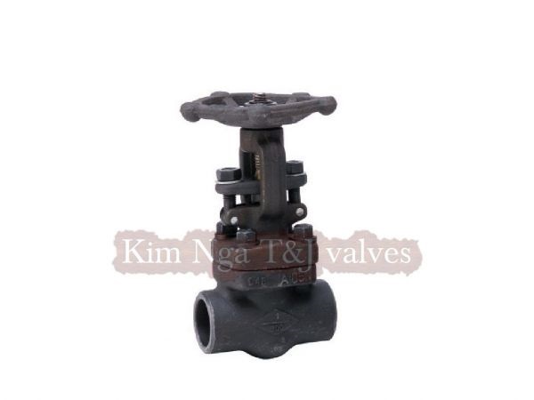 Van cửa thép ren áp lực A105