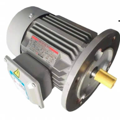 Motor Tatung B5 - Máy Bơm Teco - Công Ty TNHH Vạn Đức Phước