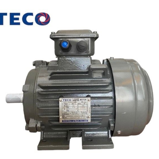 Motor Teco AESV IE1 - Máy Bơm Teco - Công Ty TNHH Vạn Đức Phước