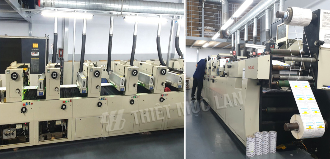 Máy Letterpress 5 màu tích hợp bế từ
