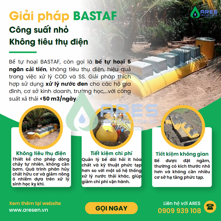 Giải pháp BASTAF