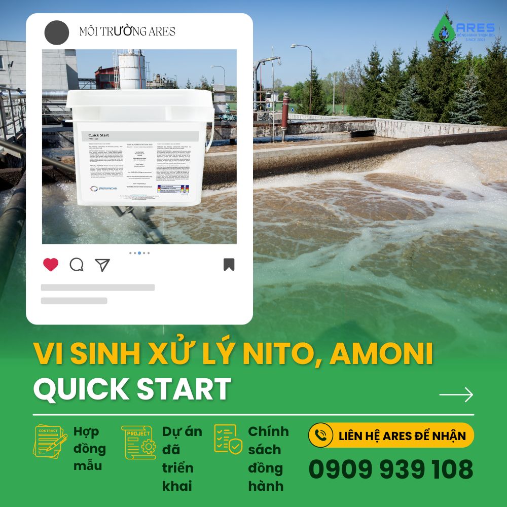 Vi sinh xử lý Nito và Photpho