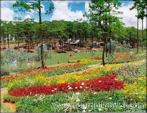 Công Ty Cổ Phần Truyền Thông Du Lịch Việt
