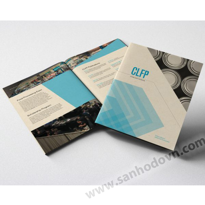 In ấn Folder - In ấn San Hô Đỏ  - Công Ty Trách Nhiệm Hữu Hạn Thương Mại Dịch Vụ San Hô Đỏ