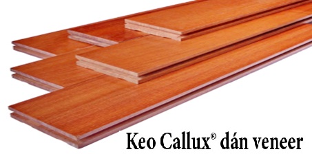 Keo Callux dán Veneer