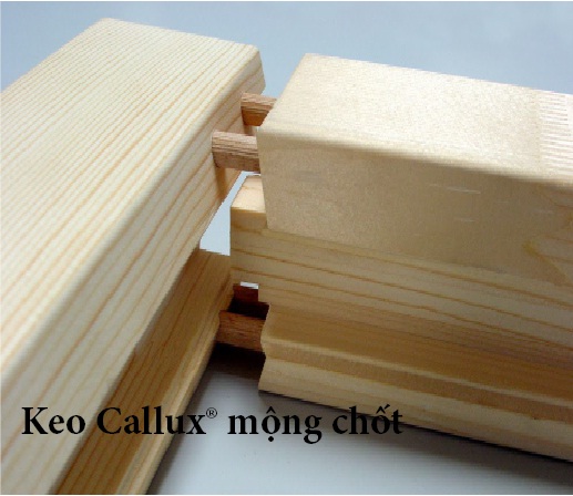Keo Callux mộng chốt