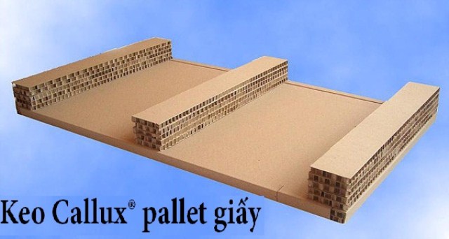 Keo Callux Pallet giấy