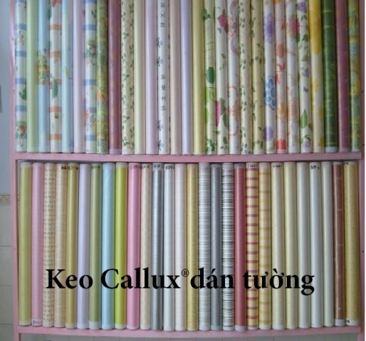 Keo Callux dán tường
