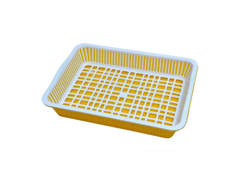 Khay ly sâu nhỏ - Nhựa Tân Lập Thành - Công Ty TNHH Nhựa Tân Lập Thành