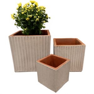 Bộ chậu hoa gân vuông