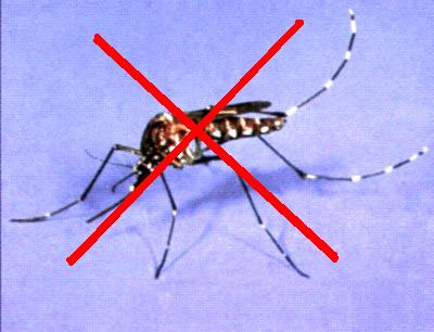 Diệt muỗi - Diệt Côn Trùng PestMaster - Công Ty TNHH Thương Mại Dịch Vụ Tam Hiệp