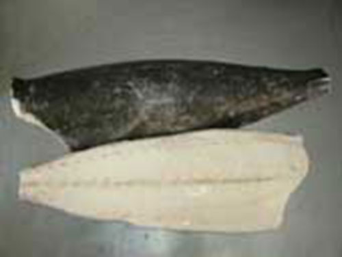 Cá ngừ phi lê - Công Ty Cổ Phần Thủy Sản Bình Định (BIDIFISCO)