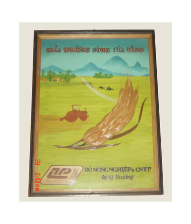 Giải thưởng - Phân Bón Komix - Công Ty Cổ Phần Thiên Sinh