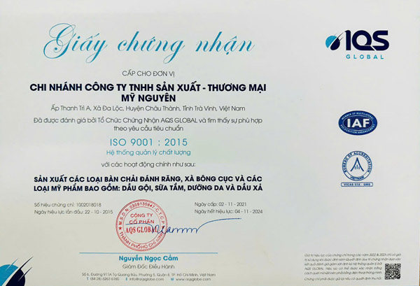 ISO 9001:2015 - Bàn Chải Đánh Răng Mỹ Nguyên - Công Ty TNHH Một Thành Viên Mỹ Nguyên Việt Nam