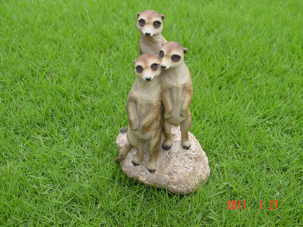 Meerkat