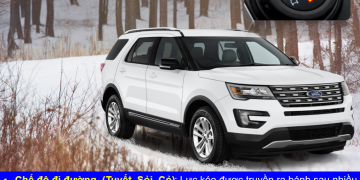 Công Ty Cổ Phần Tân Thành Đô City Ford