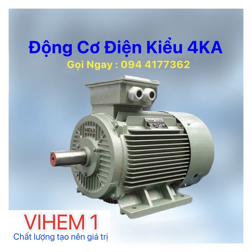 Động cơ 3 pha - Quạt Công Nghiệp, ống Gió - Công Ty Cổ Phần Chế Tạo Máy Điện Việt Nam - Hungari 1