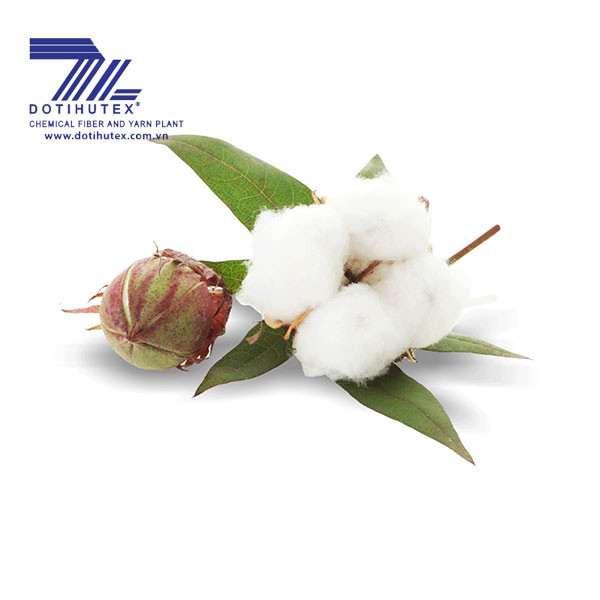 Sợi bông Cotton - Sợi DTY - Công Ty TNHH Sản Xuất Thương Mại Đông Tiến Hưng