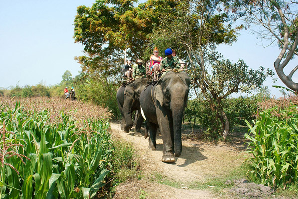 Ban Mê-Tuy Hòa-Quy Nhơn - Du Lịch Long Phú - Công Ty Cổ Phần Du Lịch Long Phú