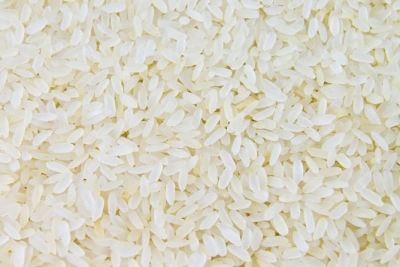 Gạo