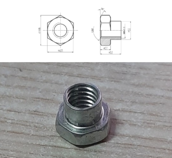 Ecu bậc