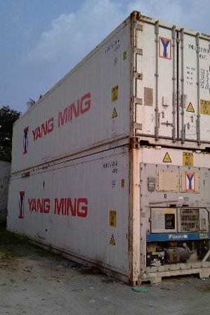 Container lạnh 40HR - Công Ty CGN - Công Ty TNHH Chấn Giang Nam