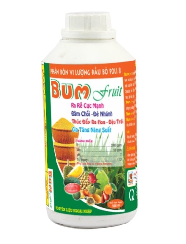 Phân bón BUM FRUIT - Phân Bón Phước Hưng - Công Ty TNHH Thương Mại - Sản Xuất Phước Hưng