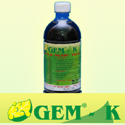 GEM - K