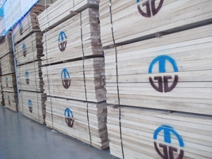 Tavico Wood – Công Ty CP Tân Vĩnh Cửu