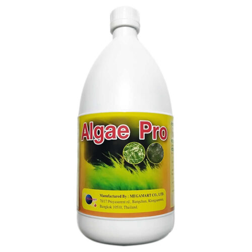 Sản phẩm xử lý môi trường Algae