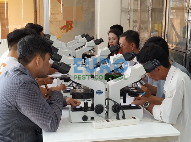 Hình ảnh công ty Âu Châu - Công Ty TNHH Thương Mại Dịch Vụ Âu Châu