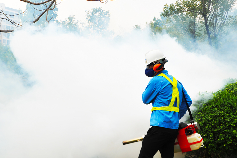 Dịch vụ diệt mối, diệt côn trùng - Công Ty TNHH Thương Mại Dịch Vụ Âu Châu