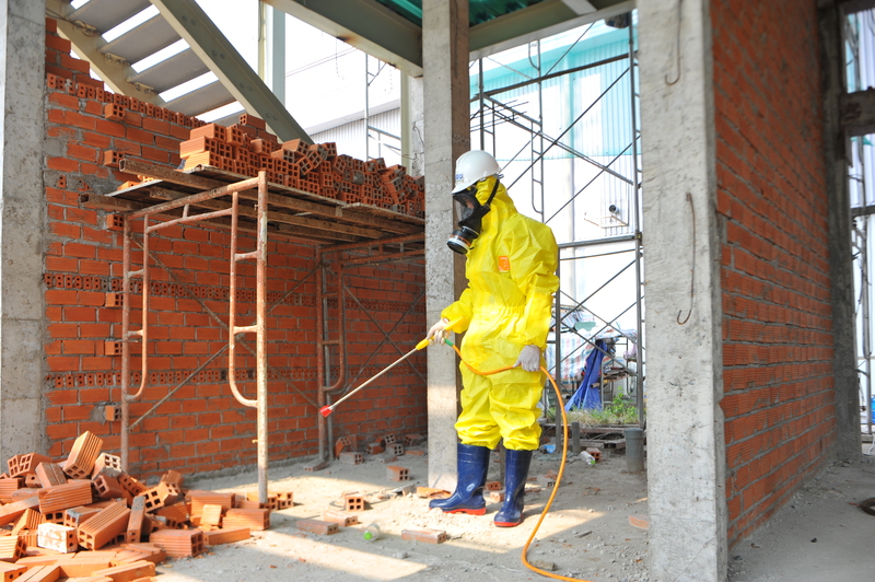 Dịch vụ diệt mối, diệt côn trùng - Công Ty TNHH Thương Mại Dịch Vụ Âu Châu