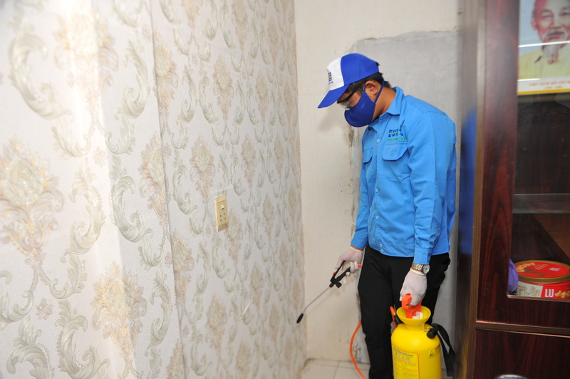 Dịch vụ diệt mối, diệt côn trùng - Công Ty TNHH Thương Mại Dịch Vụ Âu Châu