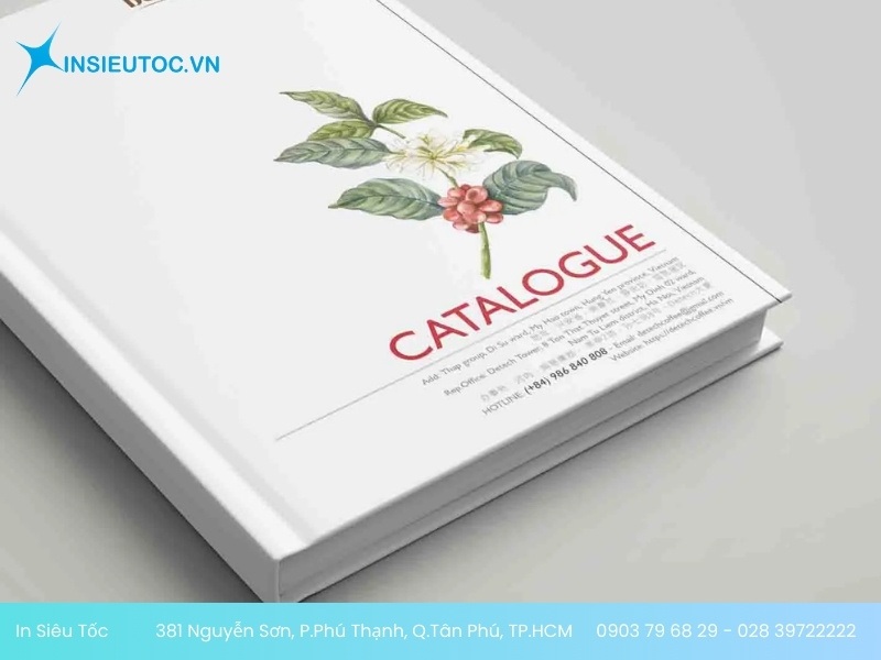 In Catalogue bìa cứng