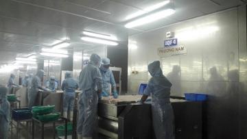 IQF cho thủy sản
