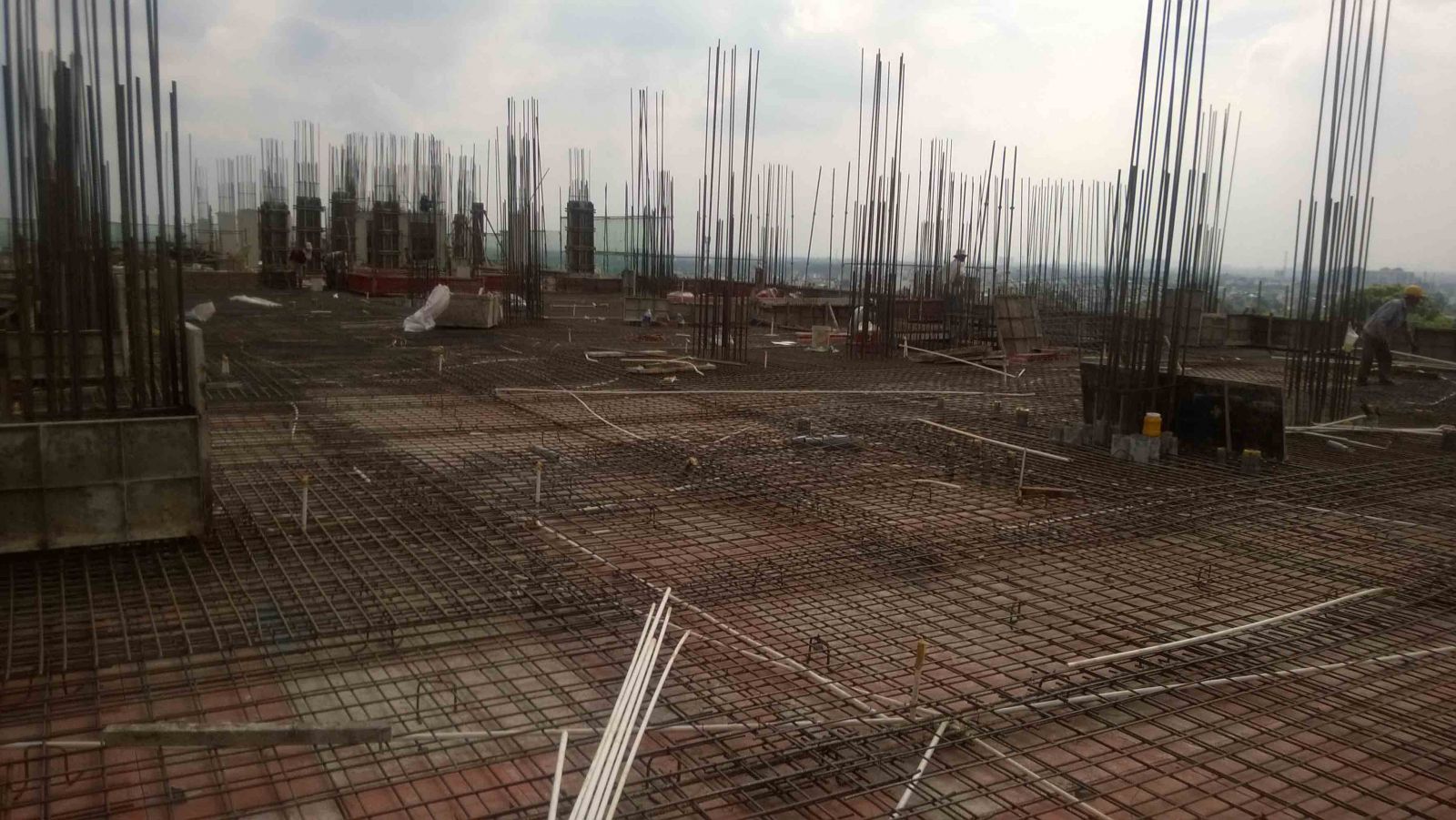 Công Ty TNHH Lưới Thép Hàn Song Hợp Lực