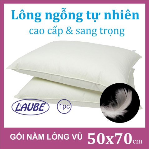 Gối nằm lông vũ 50x70cm Laube - Arai Việt Nam - Công Ty TNHH Arai Việt Nam