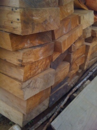 Nguyên liệu gỗ Pơ Mu - Công Ty TNHH Na-Khon