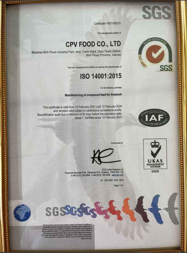 Chứng nhận ISO 14001