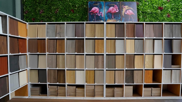 Hình ảnh công ty Thanh Thùy