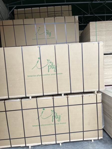 Hình ảnh kho xưởng sản xuất Thanh Thùy