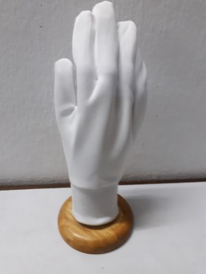 Găng tay cotton nữ
